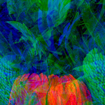 STILL LIFE-CYCLE