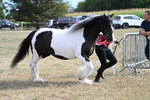 WJ7_8123