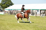 SBM_17618