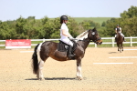 SBM_008597