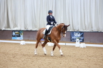 SBM_002381