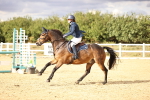 SBM_008777