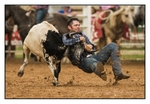 Steer Wrestling 1
