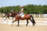 SBM_010799