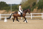 SBM_009667