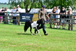 SBM_03536