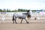 SBM_00221