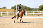 SBM_012421