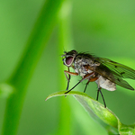 Where it should be...