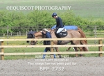 BPP_2732