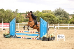 SBM_007301