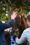 250726-Race 3-Item-0884