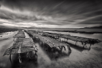 Cromane Oyster Beds.