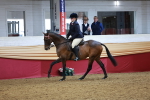 SBM_14945