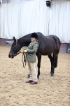 Class 4 - ROR Open In Hand portfolio