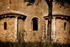 St Antimo Olive Tree