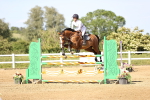 SBM_005445