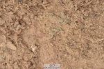 231011A-132726-00573