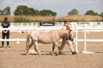 SBM_03378