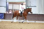 SBM_000133