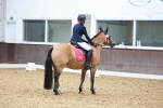 SBM_011384