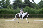 WJ6_5365