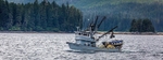 Alaska Catch