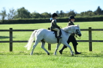 SBM_36772