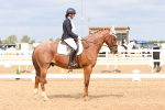 SBM_03735