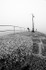 Porthleven Pier