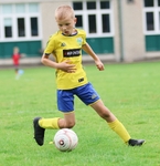 Kendal United portfolio