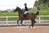 BPP_3277