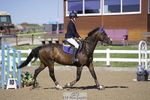 Cls 31 85cm Amateur Quali portfolio