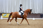 SBM_003891