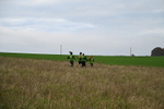 WJ7_9753