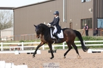 Cls 15 FEI Young Rider Individual portfolio