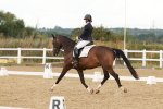 SBM_001911