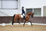 SBM_000529