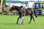 SBM_00087