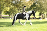 SBM_26369