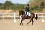 SBM_013464