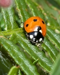20110820-IMG_6334