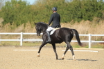 SBM_001476