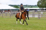 SBM_08559