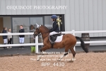 BPP_4430
