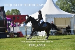 BPP_6991