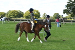 SBM_39711