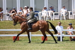 3E7A9387