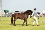 SBM_00385