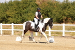 SBM_018285